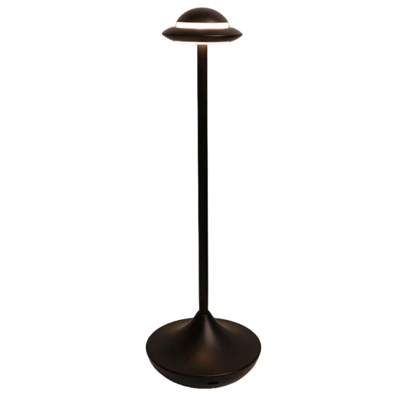 Metal LED Desk Lamp with Battery — Study & Desk Lighting, Optimized General