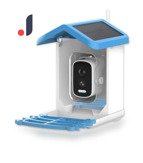 Smart Bird Feeder with Camera — Backyard Birding, Pet Supermarket