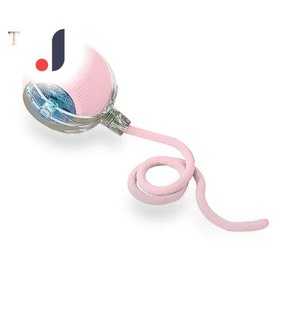 Interactive Rolling Ball Toy for Cats — Cat Playthings, Talos home Garden