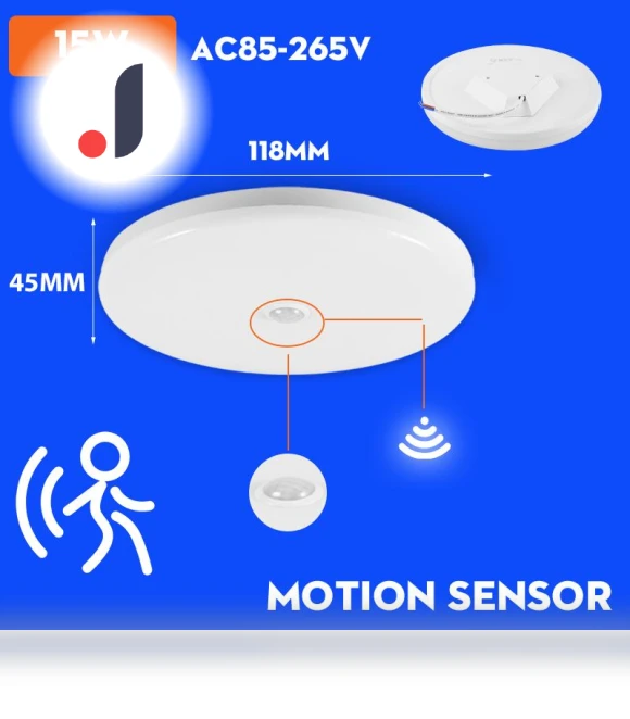 LED Ceiling Light with Motion Sensor — Overhead Lighting, AE Selection