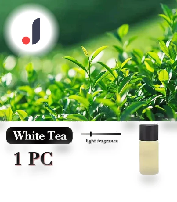 Electric Auto Mist Aromatherapy Diffuser — Car Air Fresheners, Auto Accessories Home