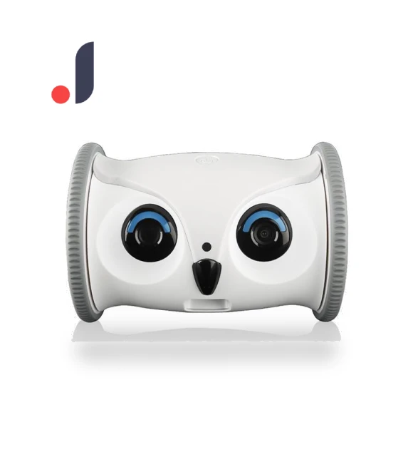 Interactive Owl-Shaped Treat Dispenser Robot with Camera — Cameras & Monitors, Seahorse Home