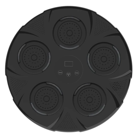 Bluetooth Music Boxing Target Wall Trainer — Home Gyms, AI Supermarket