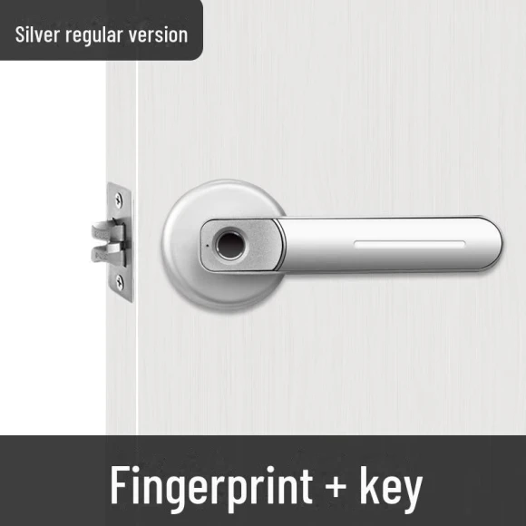 Smart Internal Door Lock with Fingerprint Scanner — Smart Home Security, Smarter than future