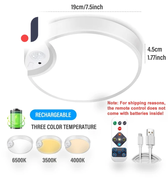 LED Touch Ceiling Light with Motion Sensor — Overhead Lighting, Modern Home Furnishing