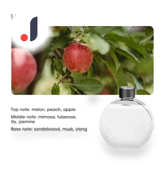 Smart Aroma Diffuser Air Purifier — Diffusers, DC-HOME Textile