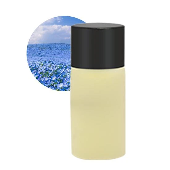 Smart Car Air Freshener — Car Air Fresheners, Car Care