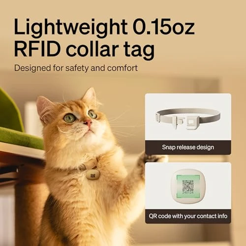 Automatic Cat Feeder with Collar Tag Activation — Smart Pet Feeders, PETLIBRO