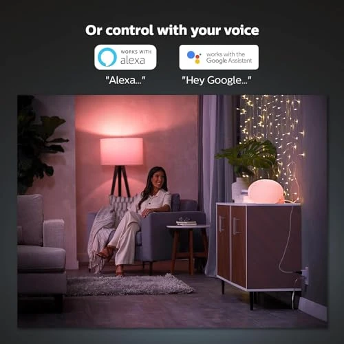 Smart Plug — Smart Home Hubs & Controllers, Philips Hue