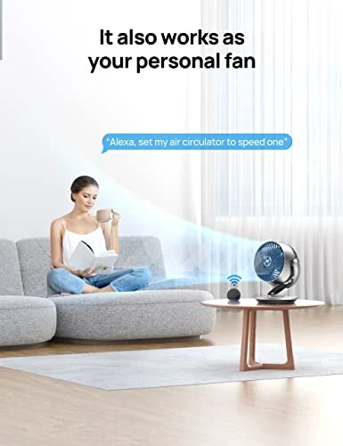 Smart Fan — Desktop Cooling Solutions, Dreo