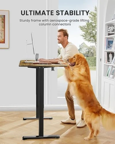 Height Adjustable Electric Standing Desk — Workspace Solutions, ErGear