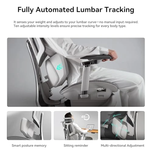 Smart Ergonomic Chair with Automated Lumbar Tracking, 4D Headrest, Ventilated Seat — Smart Chairs, Hbada