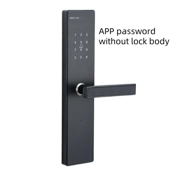 Smart Fingerprint Door Lock — Biometric Security, Crown Global