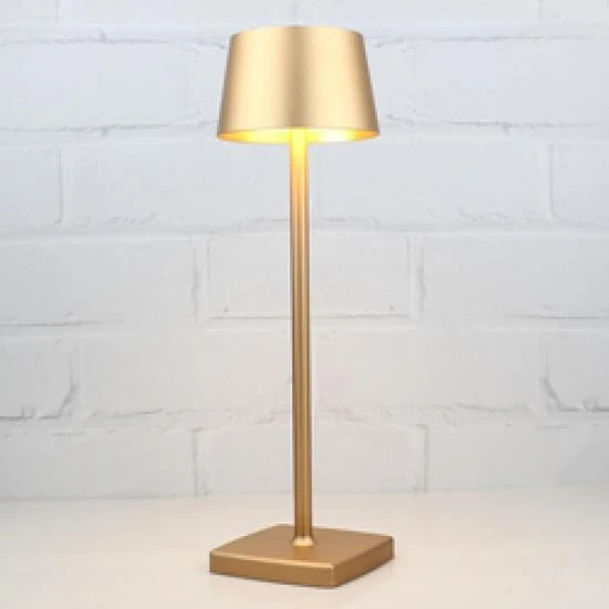 Decorative Rechargeable LED Table Night Lights — Desk & Table Lighting, Zhou Yajin