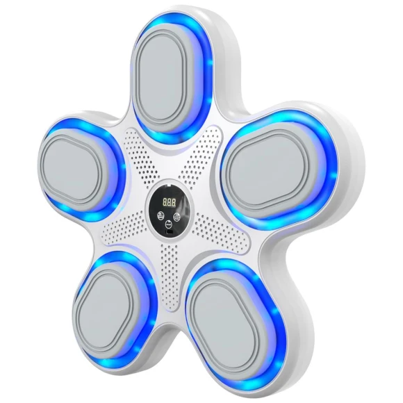 Smart Music Boxing Trainer — Boxing Training Gear, Cars Auto Home