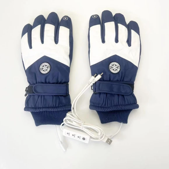 Electric Ski Gloves with Heating and Touch Screen — Gloves & Mittens, StrideBox