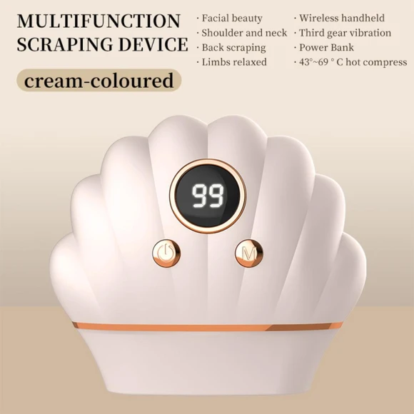 Electric Gua Sha Board with Red Light and Vibration — Facial Steamers, BC Pet Supplies