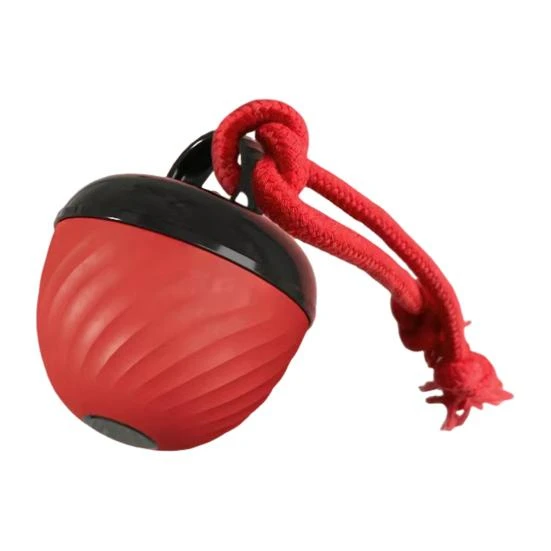 Interactive Dog Ball — 3V Batteries, Obsidian