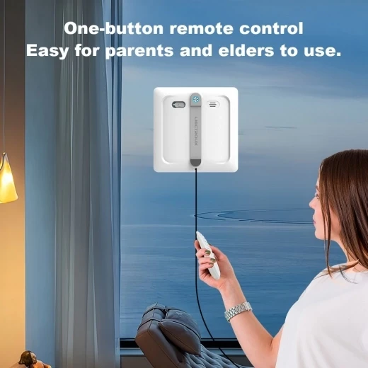 Window Cleaning Robot — Robot Vacuum, Liectroux