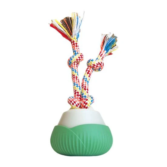 Interactive Pet Ball — Cat Playthings, shangfaji