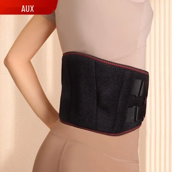 Smart Heated Waist Massager Belt — Back Braces, PASTSKY