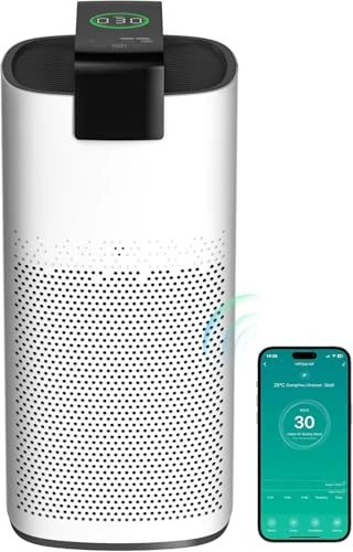 Air Purifier for Large Rooms — Activated Carbon Air Purifiers, MERONTE
