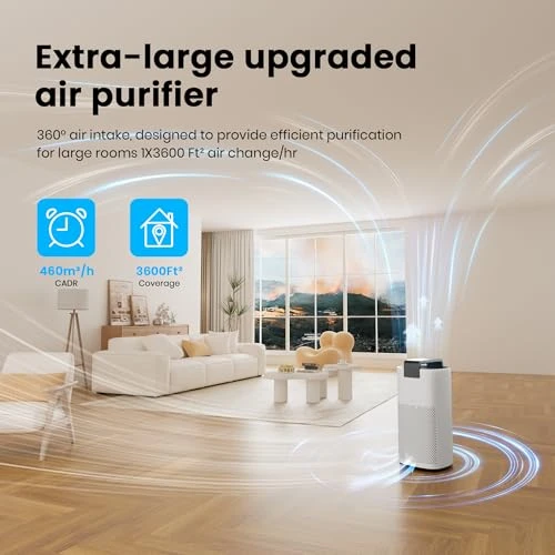 Air Purifier for Large Rooms — Activated Carbon Air Purifiers, MERONTE