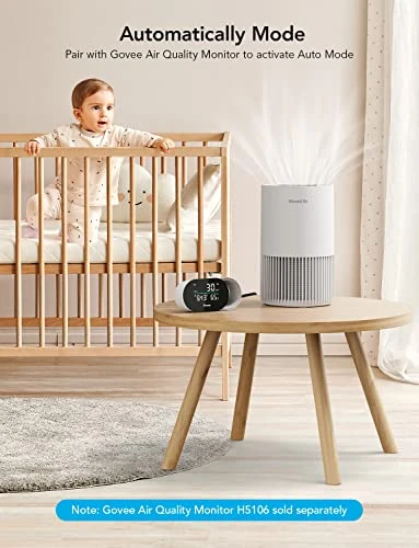 Smart Air Purifier for Bedroom — Portable Air Purifiers, GoveeLife