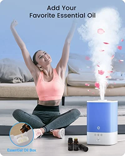 Smart WiFi Cool Mist Humidifier with Diffuser and Night Light — Air Moisturizers, Esemoil