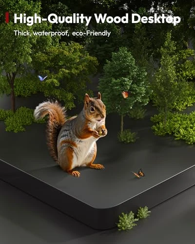 Electric Standing Desk — Monitor Stands, SANODESK