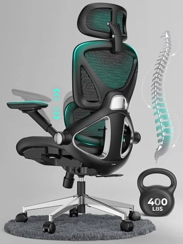 Ergonomic Mesh Office Chair with Adjustable Lumbar Support and Flip-up Arms — Desk Chairs, CAPOT