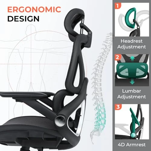 Ergonomic Mesh Office Chair — Desk Chairs, CAPOT