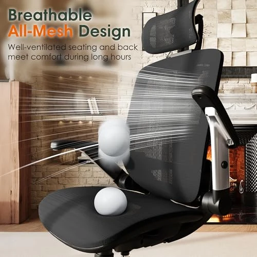 Ergonomic Office Chair with Headrest, Flip-Up Arms, and Wide Cushion — Desk Chairs, GABRYLLY