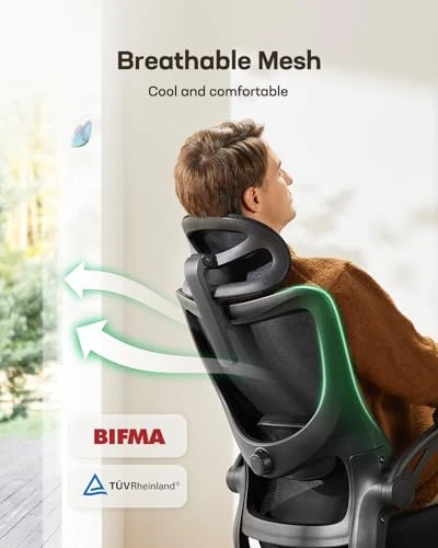 Ergonomic Office Chair with High Back Mesh and Adjustable Lumbar Support — Desk Chairs, Marsail