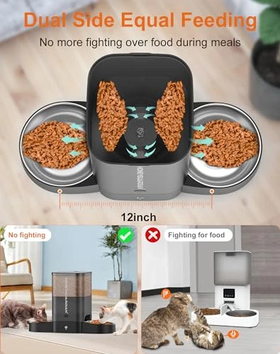 Automatic Cat Feeder for Two Cats — Automatic Feeders, HoneyGuaridan