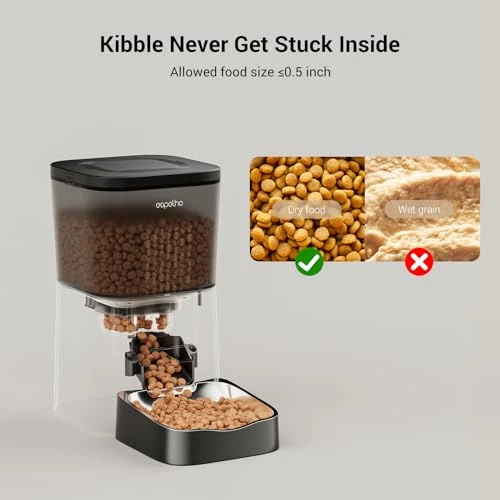 Automatic Cat Feeder with Camera — Automatic Feeders, Espelho