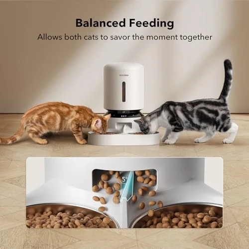 Automatic Cat Feeder with Camera — Automatic Feeders, PETLIBRO