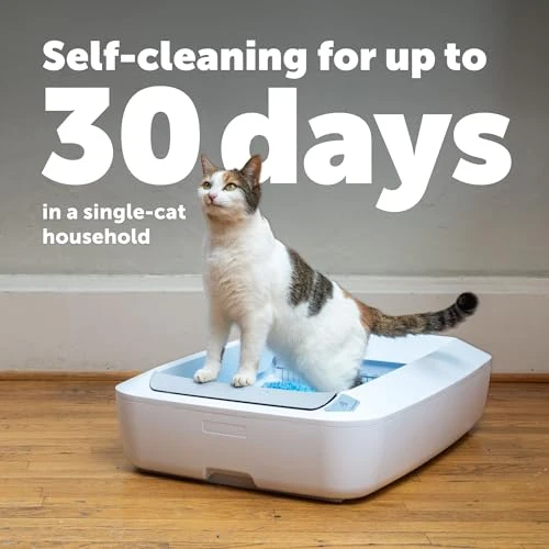 Automatic Self-Cleaning Cat Litter Box System — Self-Cleaning, PetSafe