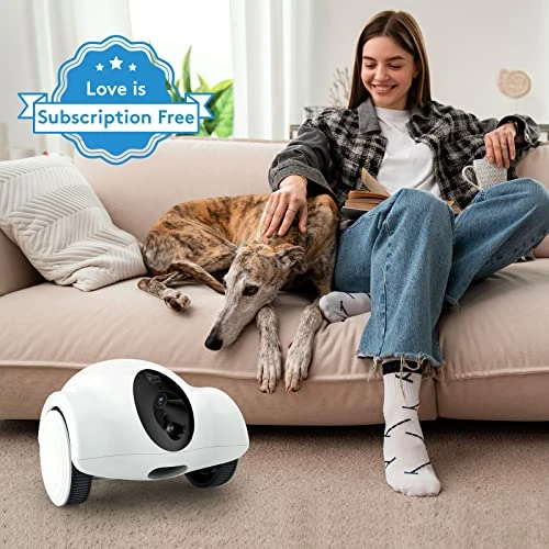 Pet Camera with Treat Dispenser and Interactive Laser — Cameras & Monitors, Youpet