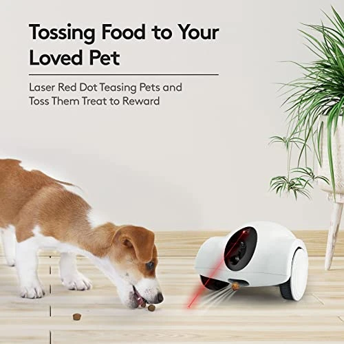 Pet Camera with Treat Dispenser and Interactive Laser — Cameras & Monitors, Youpet