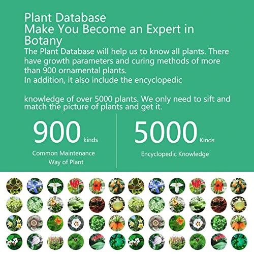 Plant Water Monitor — Moisture Detection Tools, Sinbeda