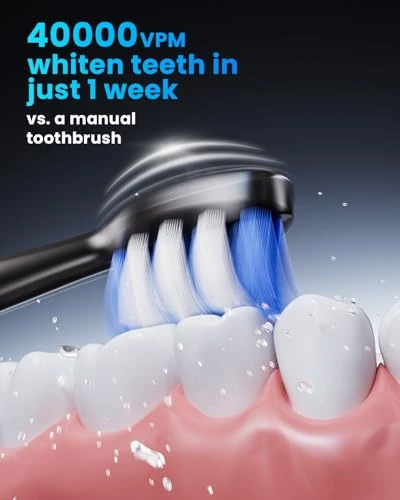 Sonic Electric Toothbrush for Adults — Ultrasonic, Onlyone