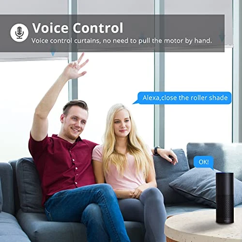 Smart Blinds Motor with Remote Control — Roller, Blindsmart