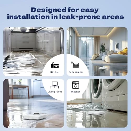 Smart Water Leak Detector — Water Leak Detection Systems, Baldr
