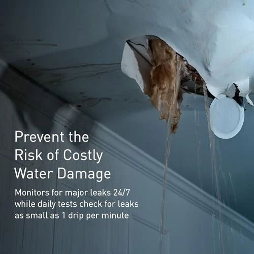 Smart Water Monitor and Automatic Shutoff Sensor — Water Leak Detection Systems, Moen