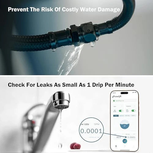 Smart Water Monitor and Automatic Shutoff — Water Leak Detection Systems, FRIZZLIFE