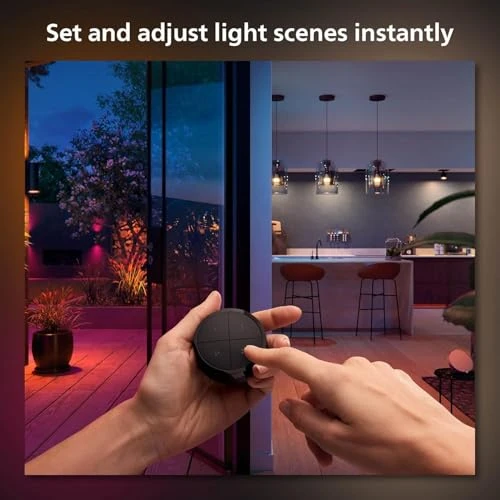 Wall Tap Dial Light Switch — Dimmer Switches, Philips Hue