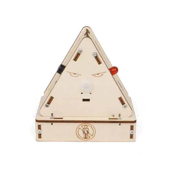 Wooden Smart Human Body Motion Detection Sensing Science Experiment Kit — Science Kits, TinyJoy