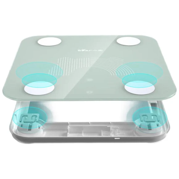 Smart Bluetooth Body Fat Scale — Weight Management Tools, Little Bear