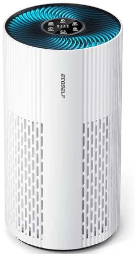 Large Room Air Purifier — Activated Carbon Air Purifiers, ECOSELF
